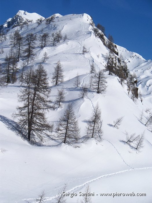 21 La via tracciata per il Calvi seguendo la cresta.JPG